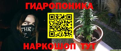 PSILOCYBIN Краснокаменск