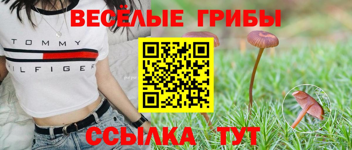 Галлюциногенные грибы мухоморы Аксай